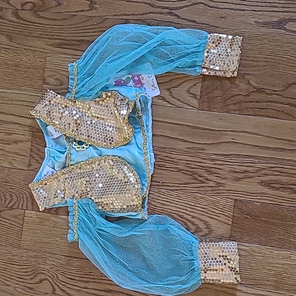 NWT Princess Dress-up Top/Used Pants - Picture 2 of 13